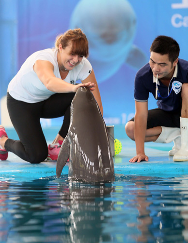 能力往往比 能力往往比